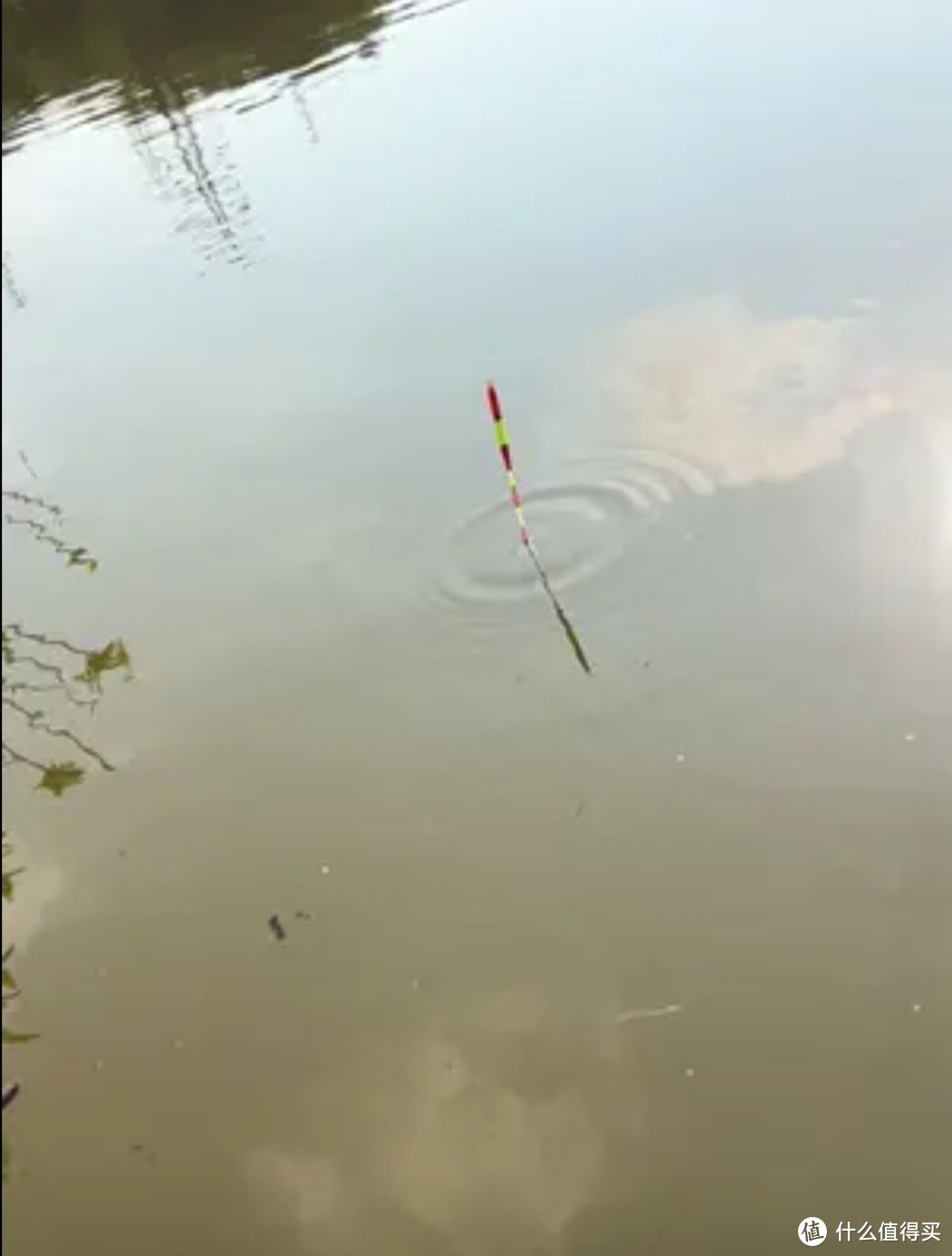 钓鱼高手除了鱼什么都可能钓到,当然我这新手是空军